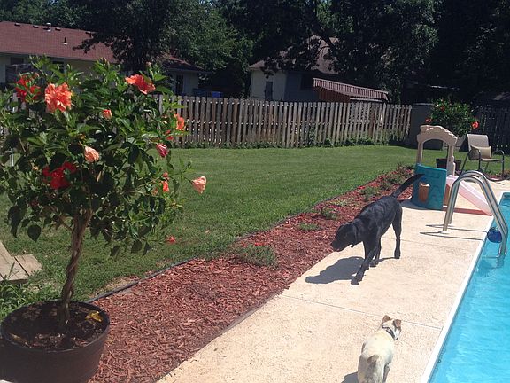 Summer view Backyard