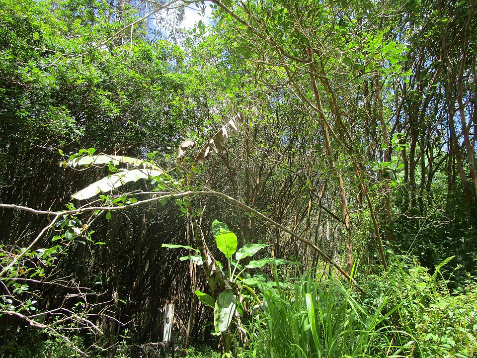 1st image of Lanai St Lot 685