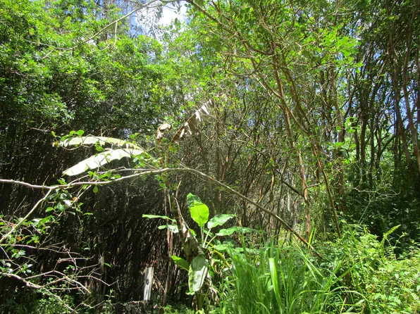 Lanai St Lot 685, Pahoa, HI 96778