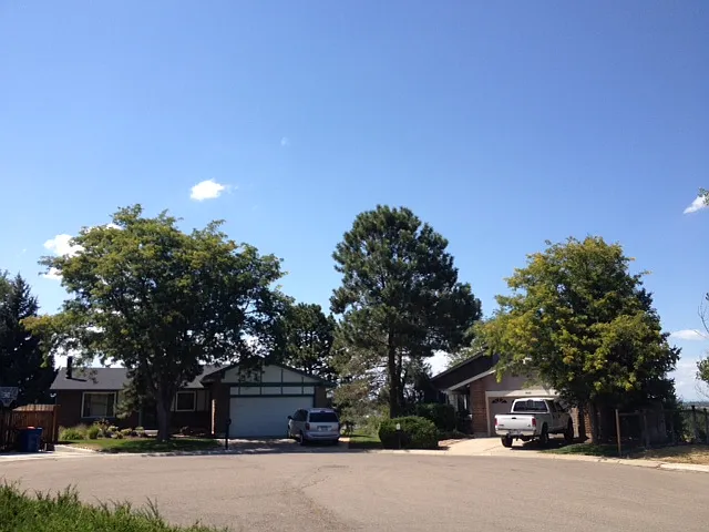 Houses to the left, across the street. Front Greenbelt starts just past the white truck at the fenceline there and runs forward between the houses (great sledding hill). Below greenbelt is hiking and biking trail that is fabulous and now well developed.