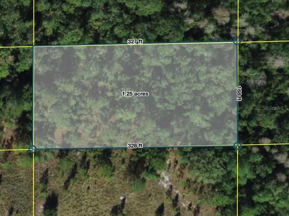 Polk City Lot 91, Polk City, FL 33868