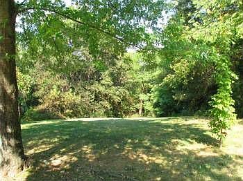 5th image of 620 Poplar Creek Trace Ct