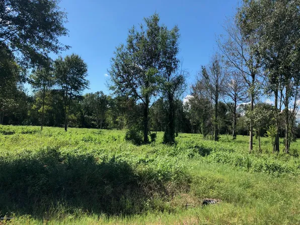 3 L Anse Meg Rd, Mamou, LA 70554