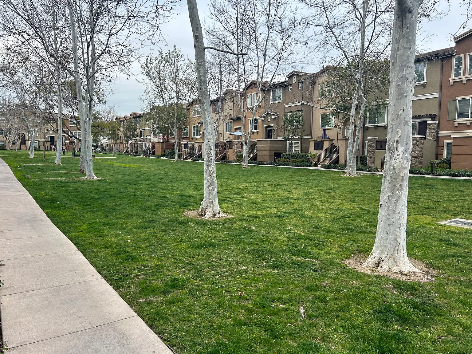 4 bed, 3.5 bath, 1830 sqft, $950 — Photo 2