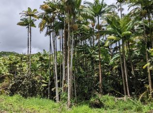 Volcano Rd, Mountain View, HI 96771