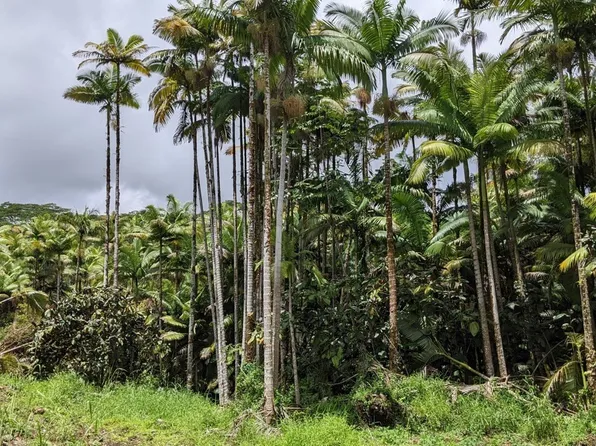 Volcano Rd Lot D, Mountain View, HI 96771