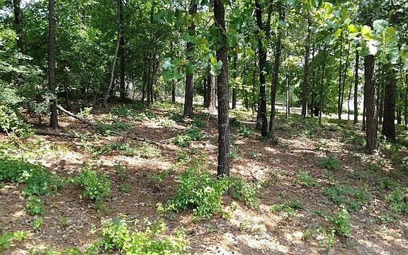 4th image of 180 Bellewood Dr