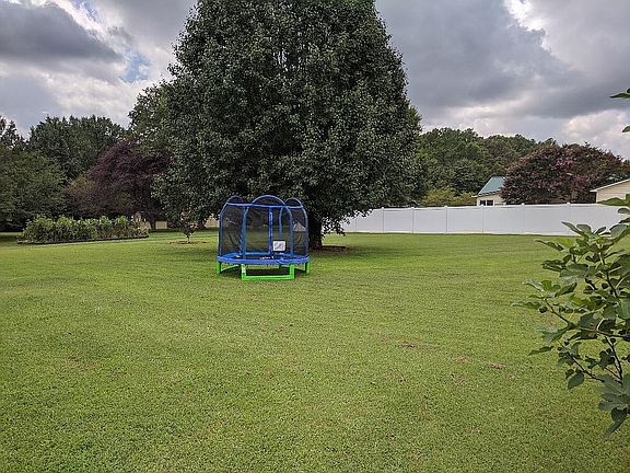 Back yard