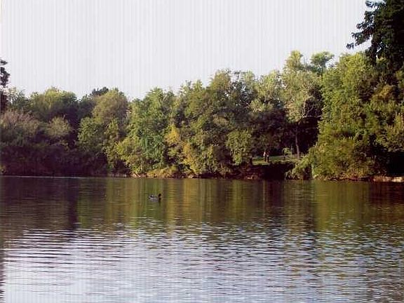 Exterior Front. Over 350 feet of shoreline! Picture taken from the spillway on Lakefront Drive.