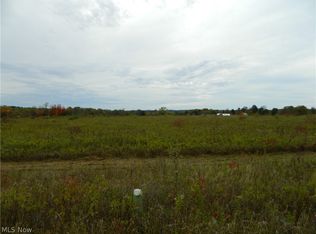 Brosius Rd, Garrettsville, OH 44231