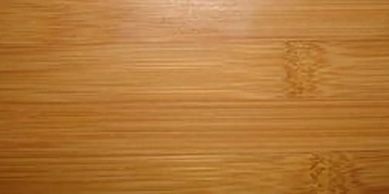 Rented by Douglas Elliman | media 22