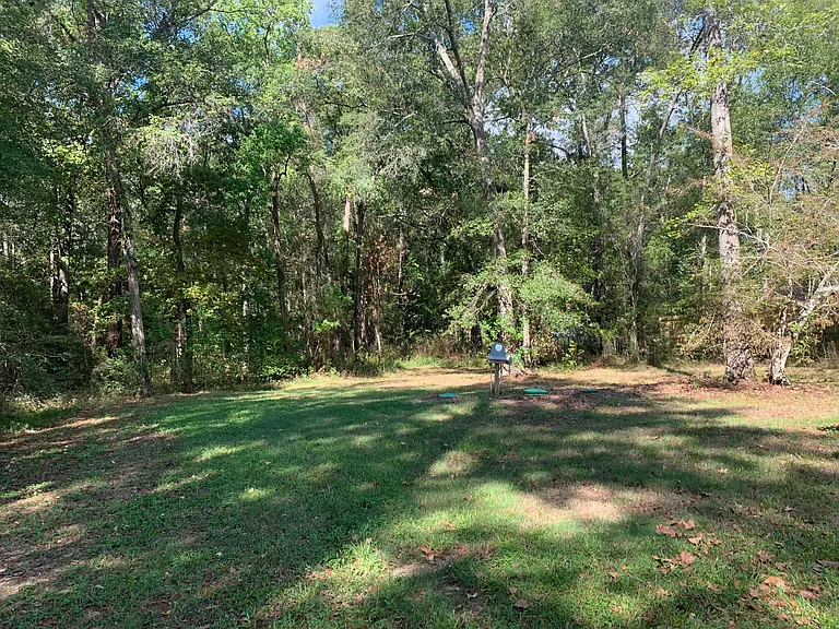 31571 Huffman Cleveland Rd — Photo 13
