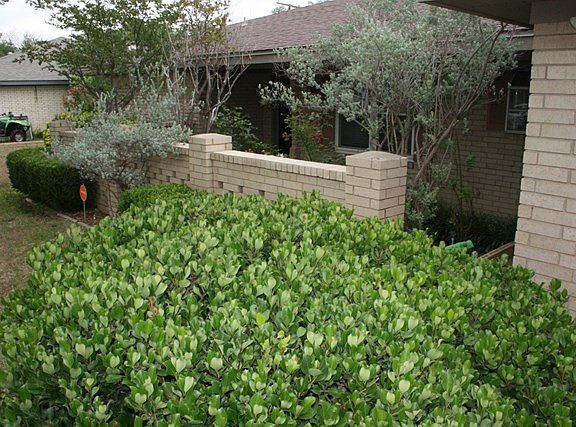 5th image of 3615 Hyde Park Ave