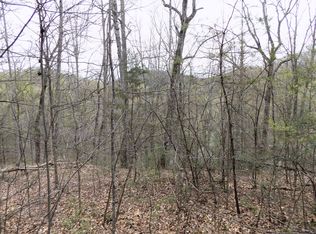 Par 1.08 Mountain Shadow Way, Cosby, TN 37722