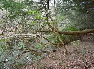 Indian Cave Rd, Ellijay, GA 30536