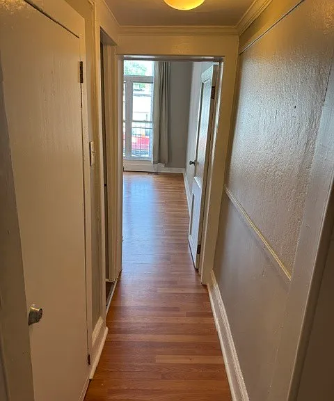 2502 N Calvert St #1 — Photo 4