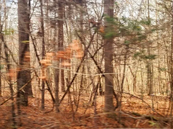 890 Forrester Cemetery Rd, Covington, GA 30014