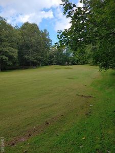 69 Gold Creek Rd, Sapphire, NC, 28774