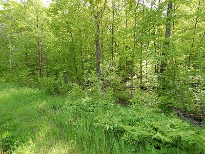 3882 S 5 1/2 Rd, Harrietta, MI, 49638