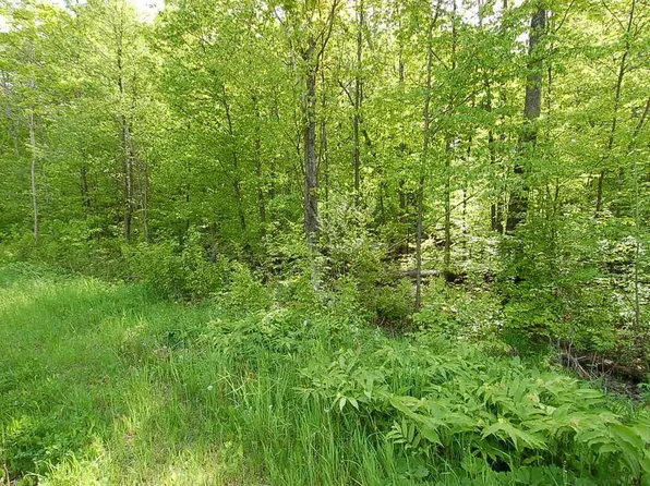 3882 S 5 1/2 Rd, Harrietta, MI 49638