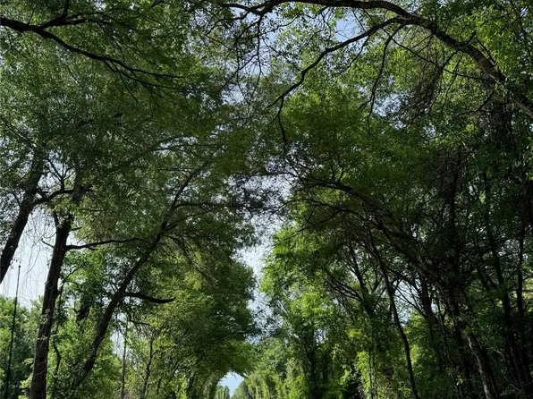 8590 Hammond Rd, Calvert, TX 77837