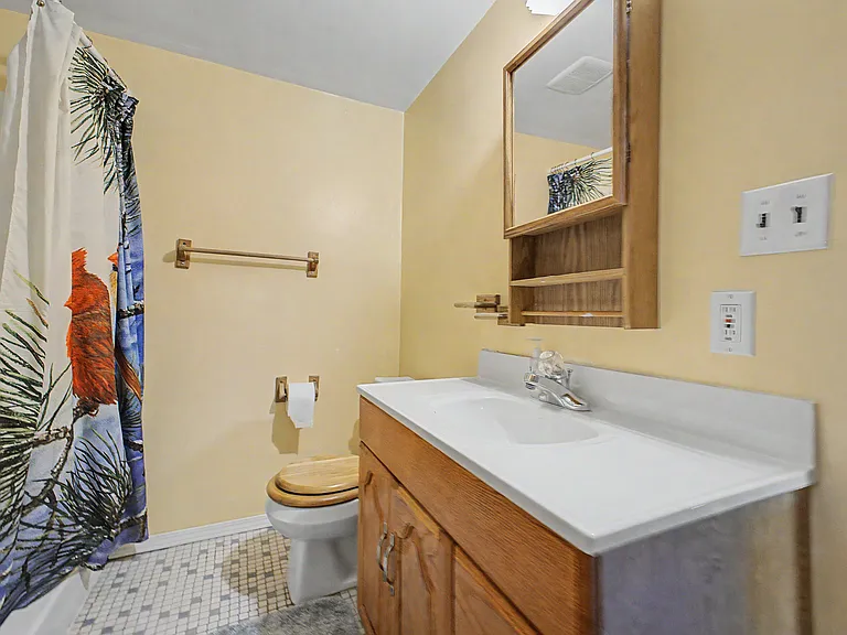 21236 Outer Dr — Photo 29