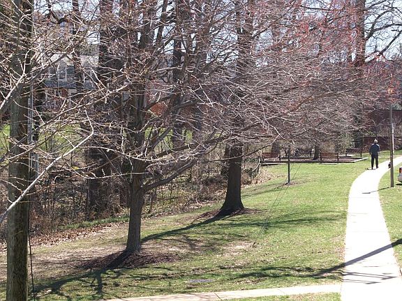 Colonial Village open green space