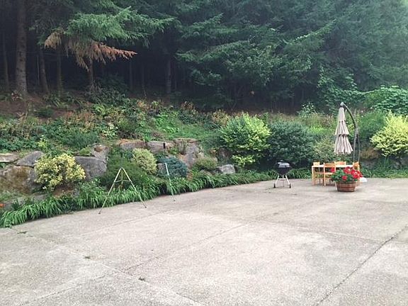 Back patio