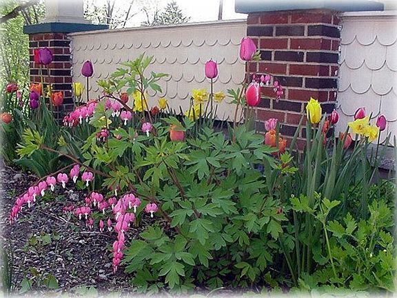 Front porch spring flowers
