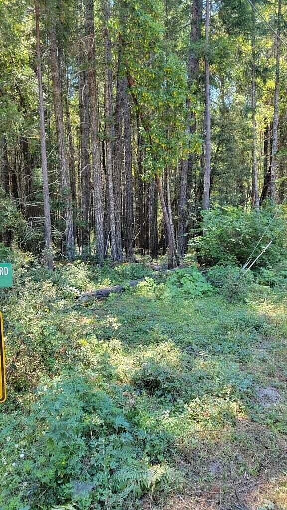 McMullen Creek Rd, Selma, OR 97538 MLS 220166410 Zillow