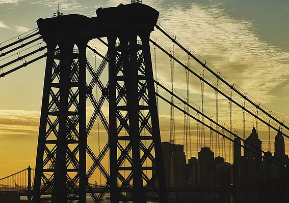 Rented by Two Trees | media 67