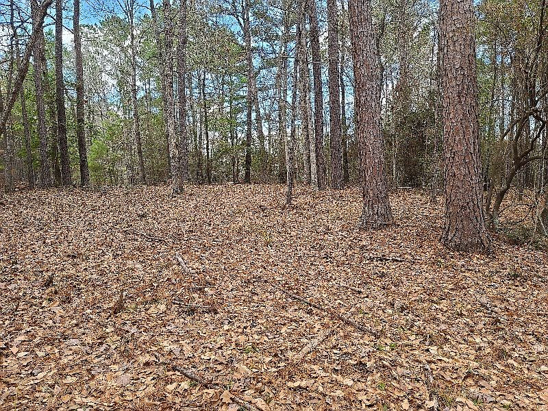 51 Sunset Cir, Etoile, TX 75944 Zillow