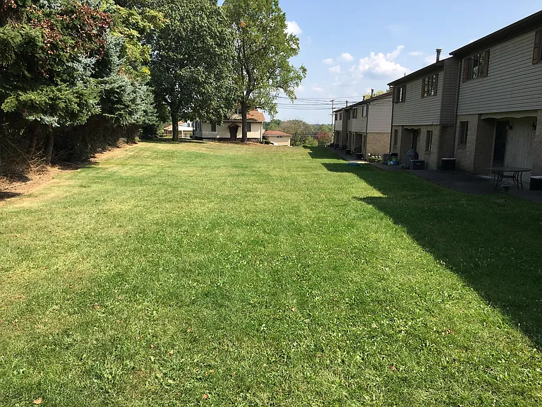 Back Yard Area