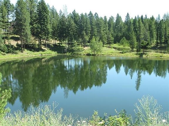 2nd image of Blk 1 Lot 9 Blue Heron Lake Sagle #Lot9