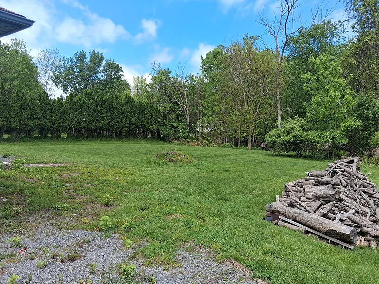 Exterior Back Yard