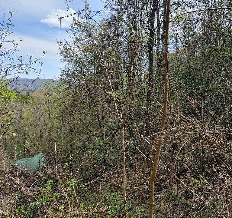 2nd image of Costner Rd
