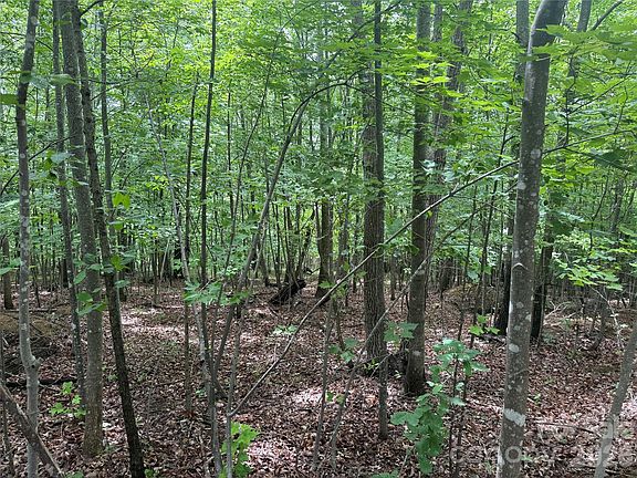 3rd image of Scenic Vista Dr #246