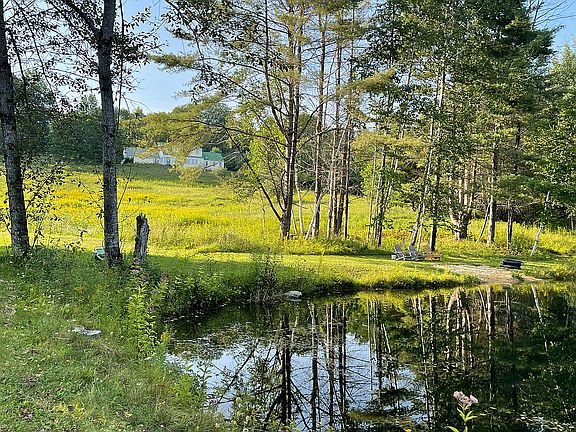 View of house from the pond