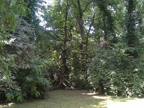 3rd image of 2601 Winfred Ave