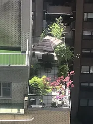 Rented by essential NEW YORK Real Estate