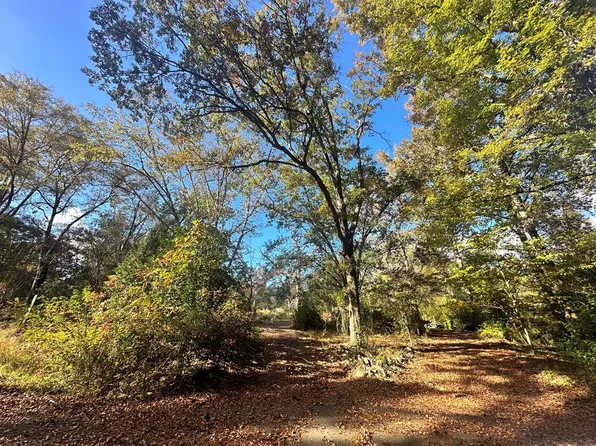 9925 Wylie Rd, Hopkins, SC 29061