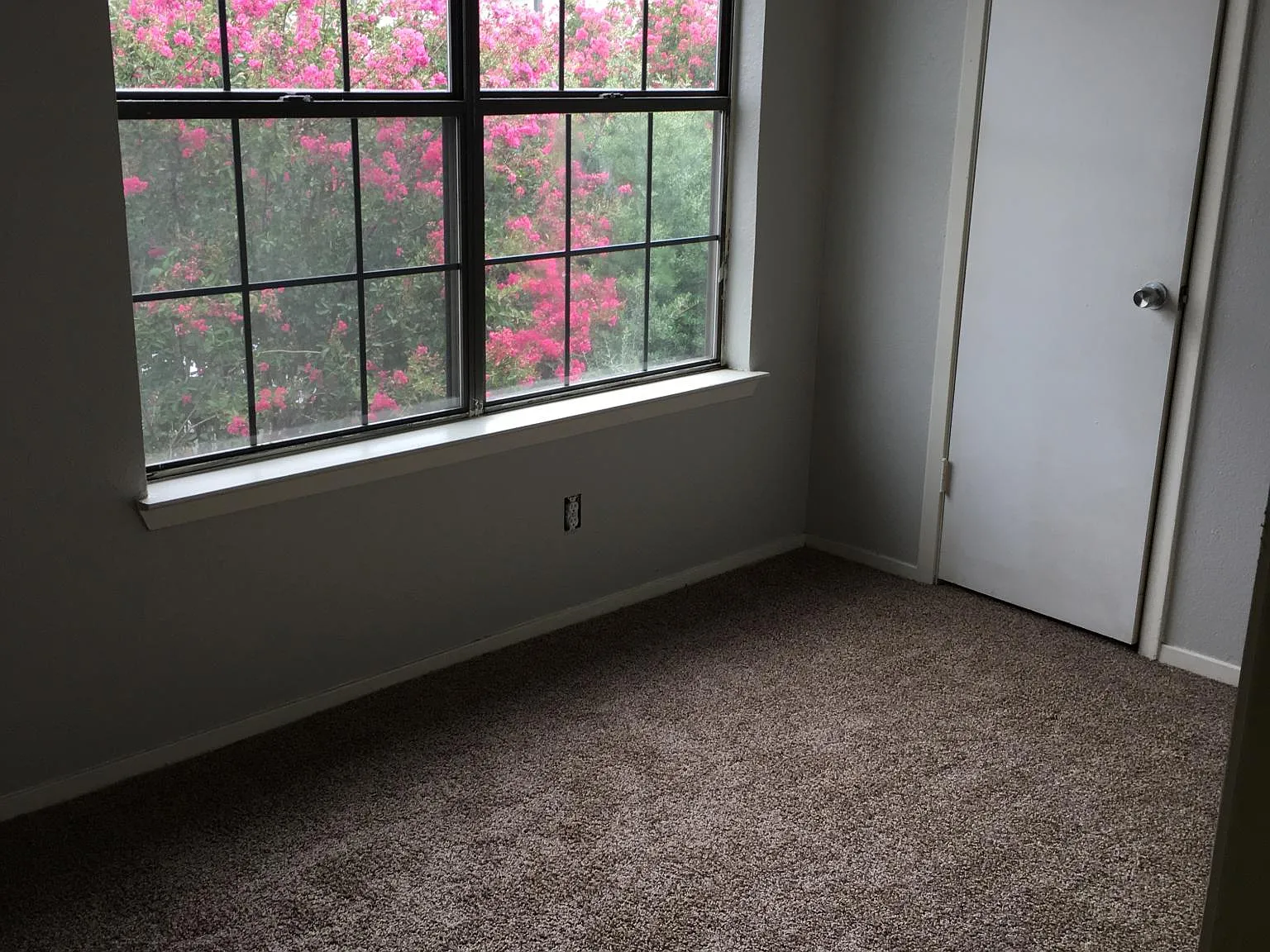624 W Collins St — Photo 3