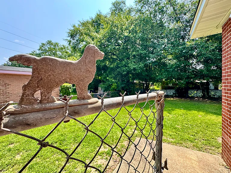 Fenced-In Backyard