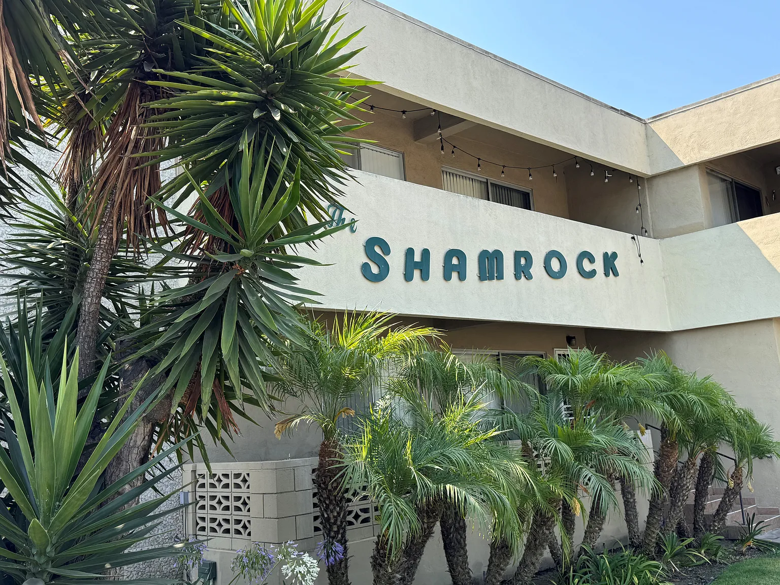Shamrock — Photo 1