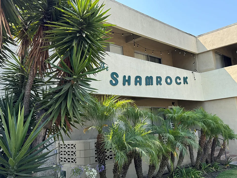 Shamrock