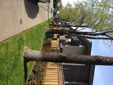 1st image of 301 Oxford Way APT 24