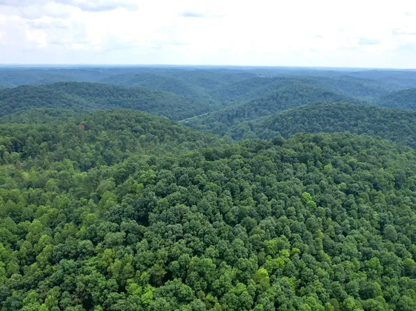 999 Trace Branch Rd, Livingston, KY 40445