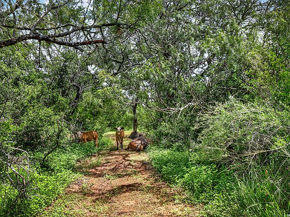 3rd image of 622 County Road 460