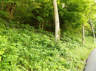 Livingston Hollow Rd, Elizabethton, TN 37643