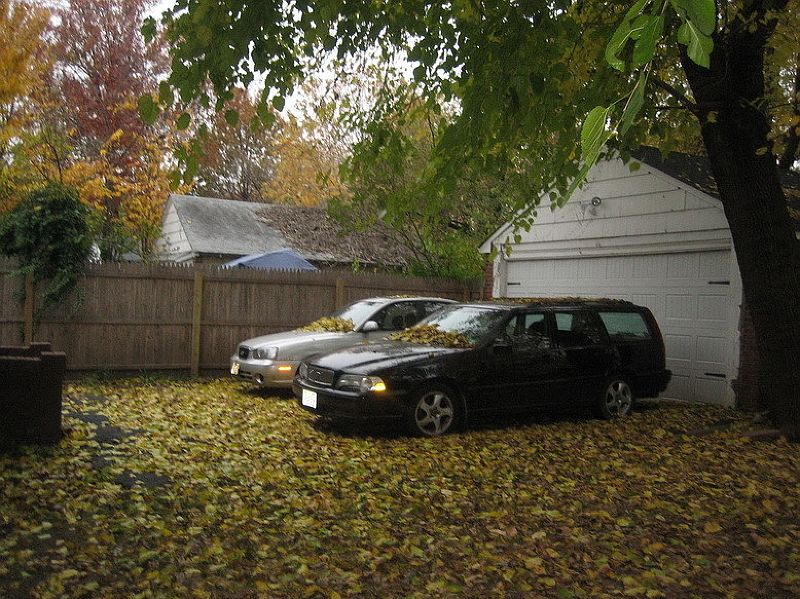2nd image of 325 Hobson St